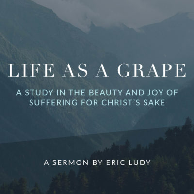 Life as a Grape