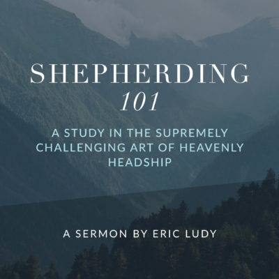 Shepherding 101