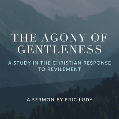 The Agony of Gentleness