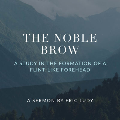 The Noble Brow
