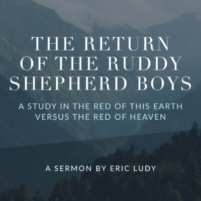 The Return of the Ruddy Shepherd Boys