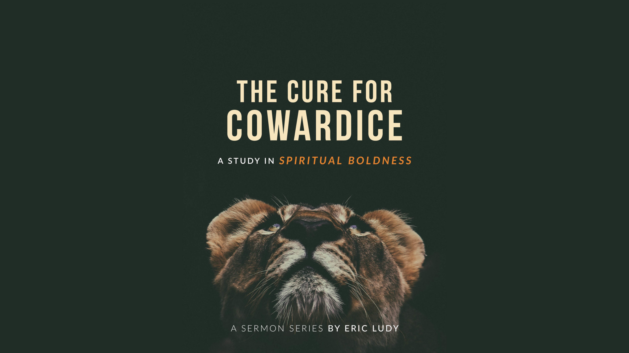 the-cure-for-cowardice