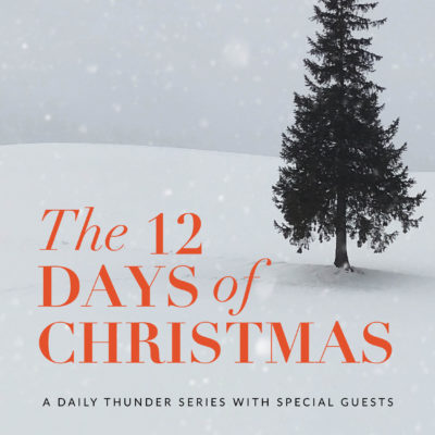 221: The Purpose of the Baby // The 12 Days of Christmas 04 of 12 (Sandi McConnaughey)