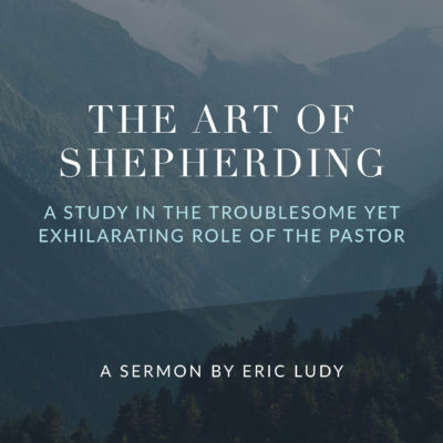 The Art of Shepherding