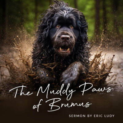 The Muddy Paws of Brumus