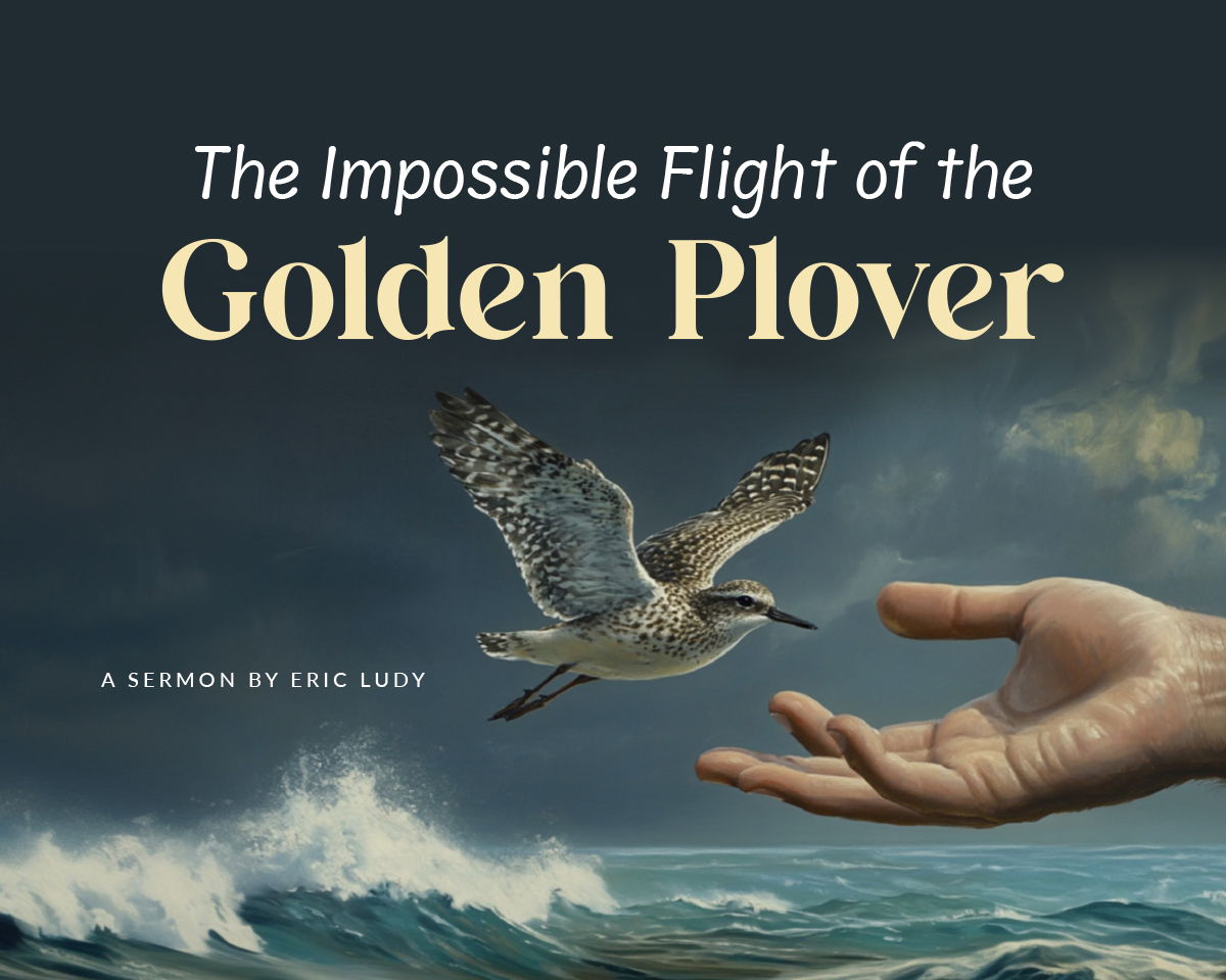 _sermon-2024-6-1-theimpossibleflight-homead