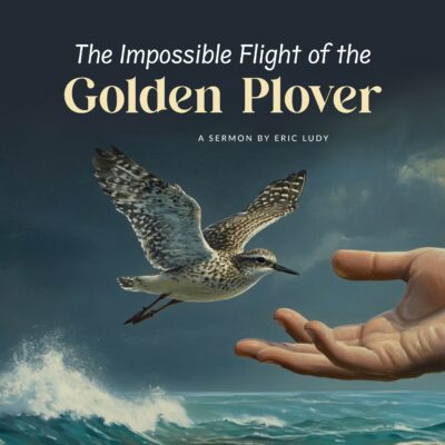 The Impossible Flight of the Golden Plover